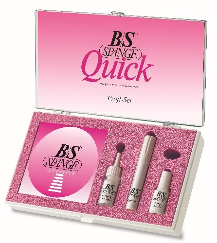 [3100.1] Quick clasps set